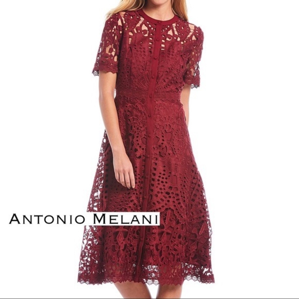 Antonio Melani Ada Eyelet Lace A Line Midi Dress